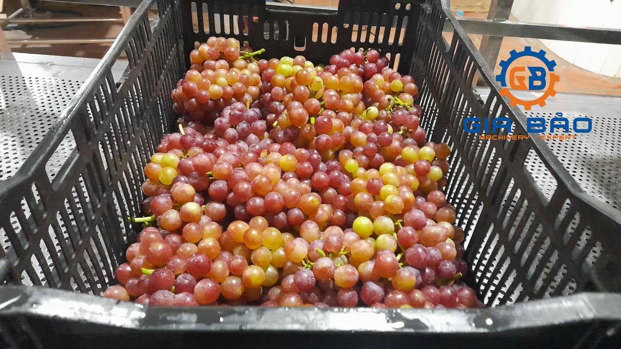 z4233324688962_76319692d53aca9800f055cabd28aca2 Máy rửa trái cây, rau củ quả công nghiệp