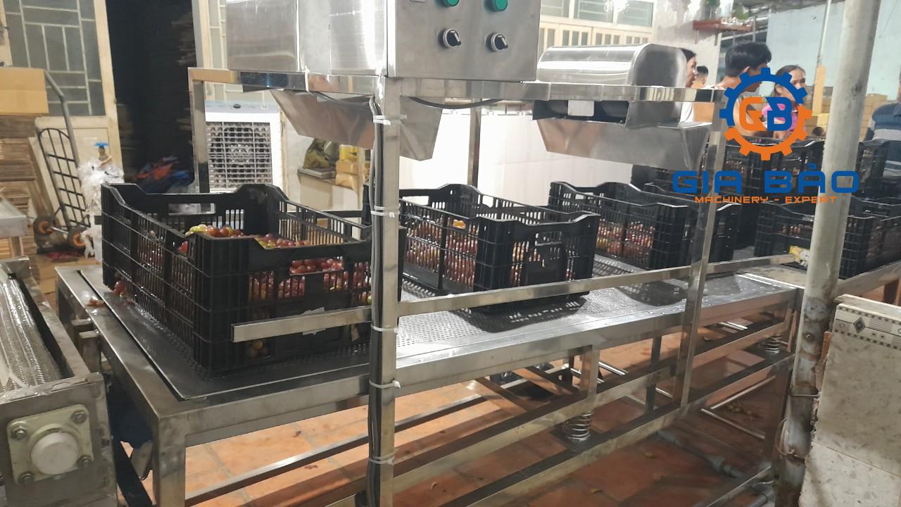 z4233324691722_eb704bd2ac0e72012c76268d477d9f59 Máy rửa trái cây, rau củ quả công nghiệp