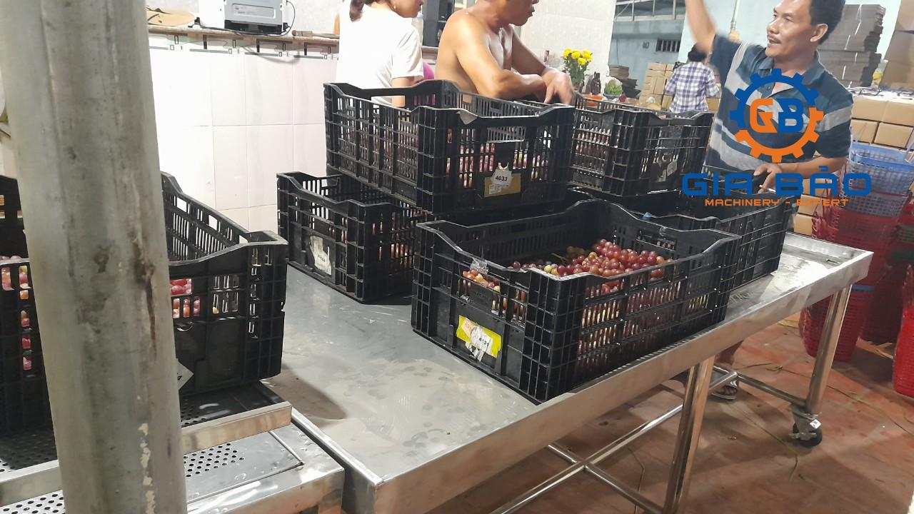 z4233324697142_cbe14392b3c12a4d4370dd35c1973be7 Máy rửa trái cây, rau củ quả công nghiệp