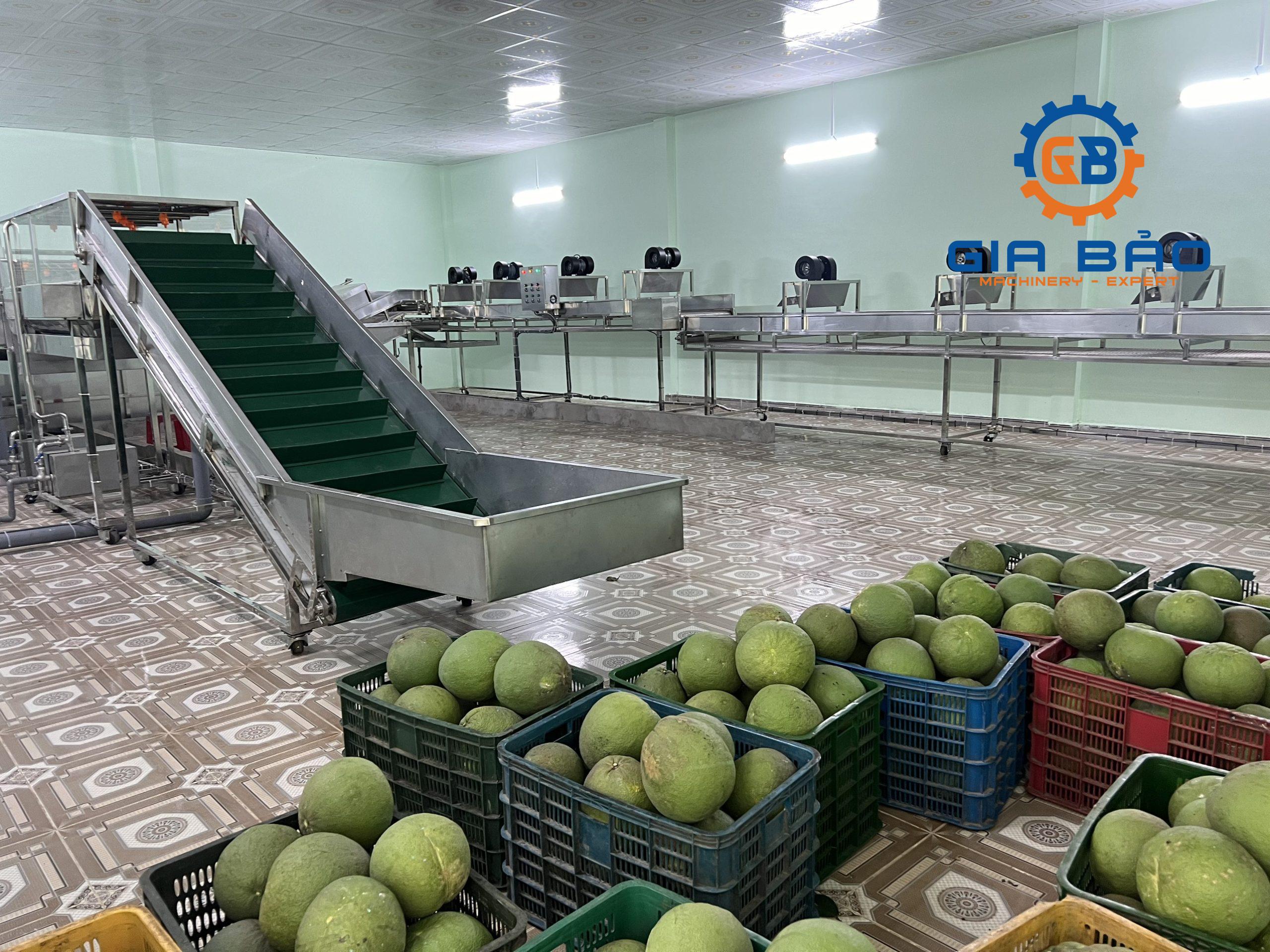 z5341213627367_c601f19084513ffe0e9a2ce583515fd3