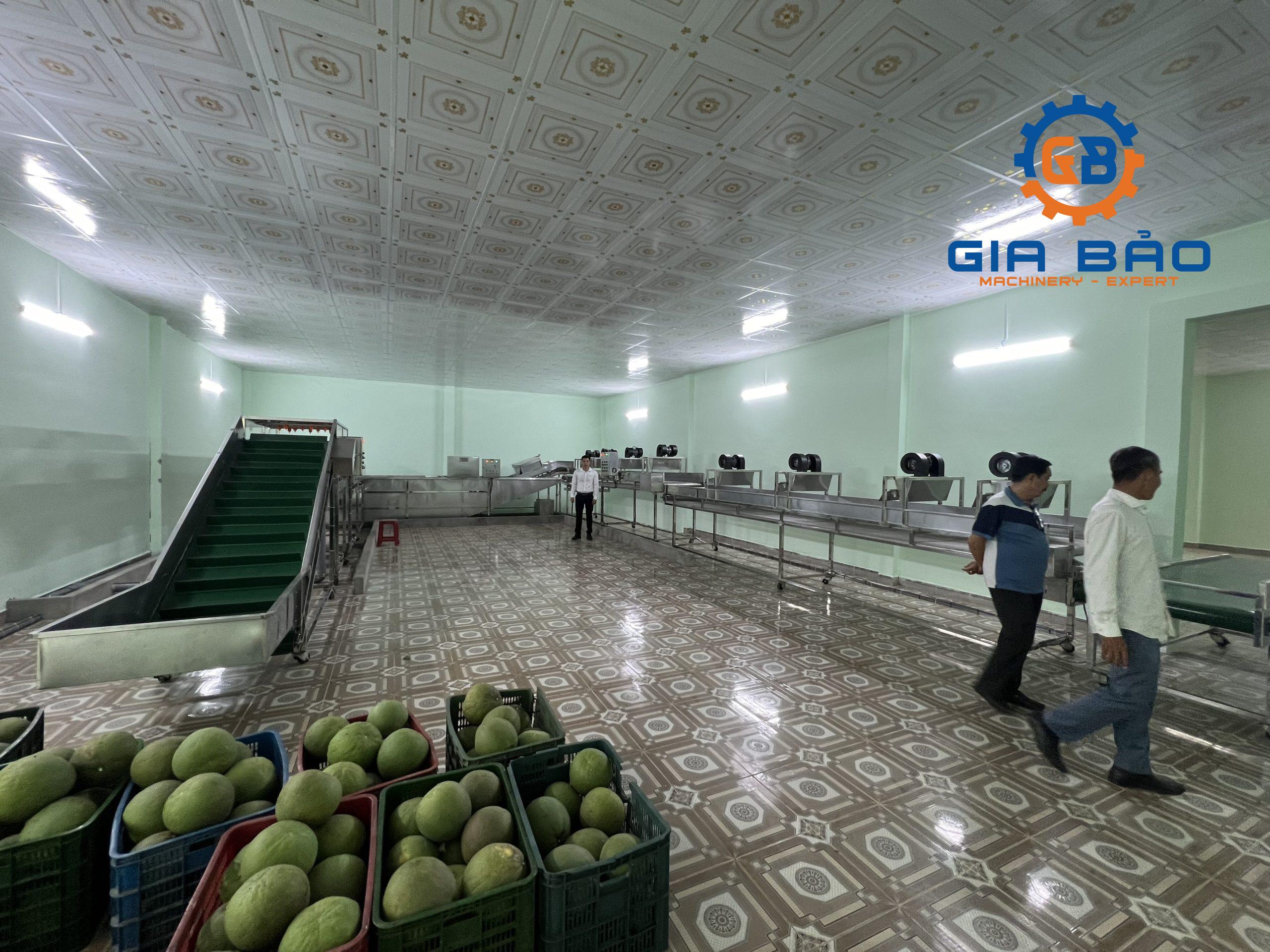 z5341213644290_d6cfb4c79af3c148e41b491afd6d2676