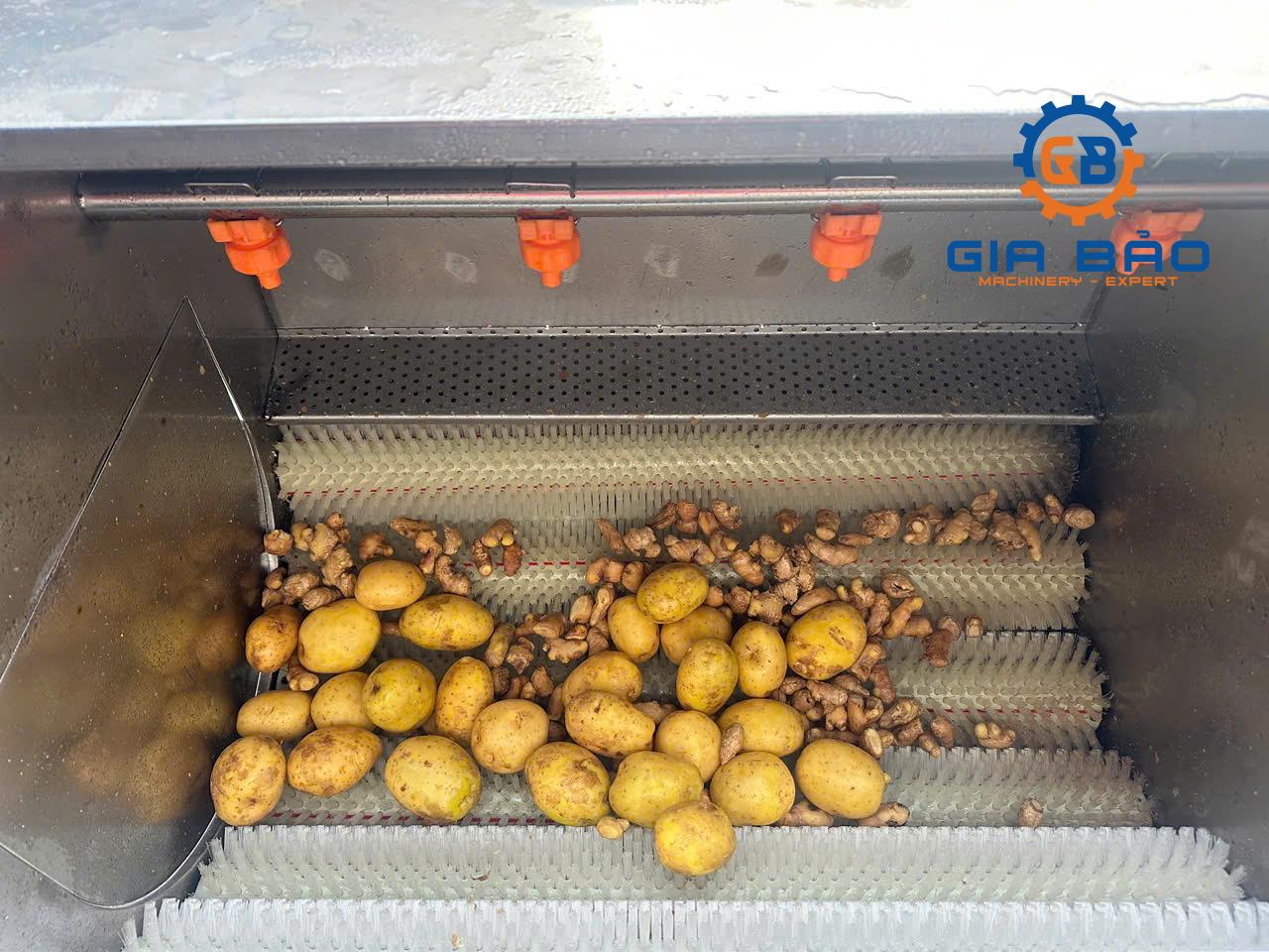 z6490703089215_60bd0c68b282f9c893f5020a0c5a43b6